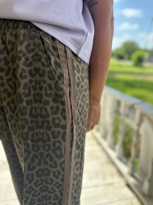Leopard Madness