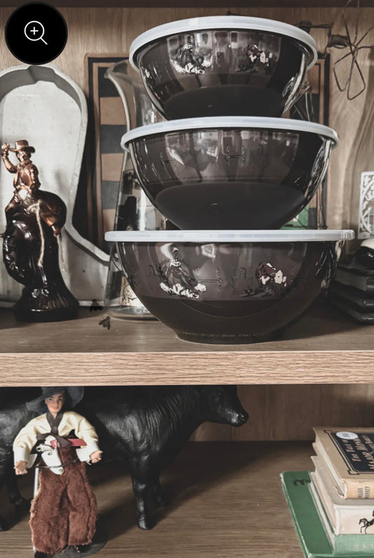 Western Bowl Set