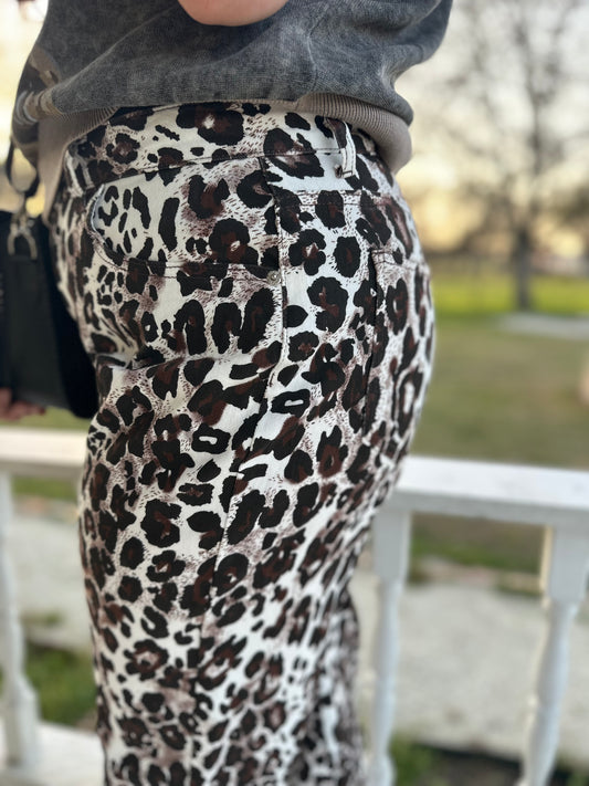 Snow Leopard
