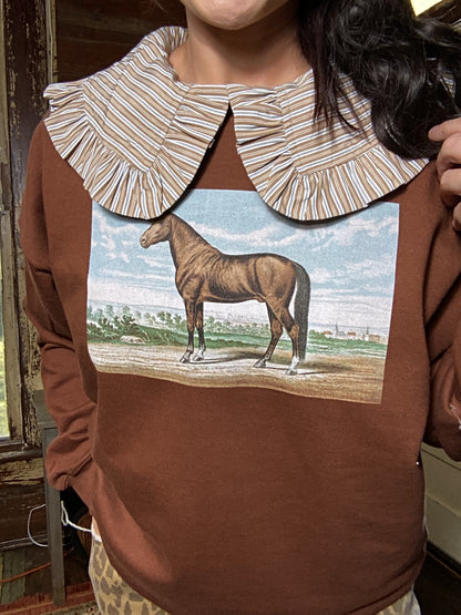 Quarter Pony Sweatshirt