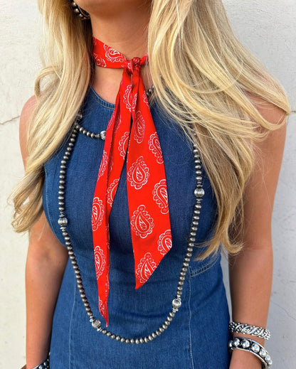 Cow Pony Ties